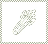 Icone Celeri