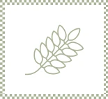 Icone Gluten
