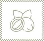 Icone Macadamia